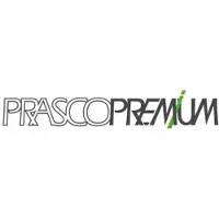 PRASCO BM0262124 Ventilatiegrille, bumper