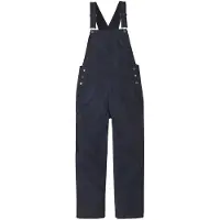 Patagonia - Women's Point Reyes Canvas Overalls - Vrijetijdsbroek 46, blauw