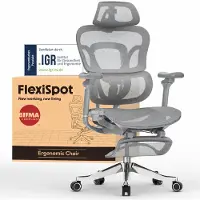 FlexiSpot ErgoX Max: Ergonomische bureaustoel tot 300 kg, met voetsteun, 4D-hoofdsteun en 5D-armleuningen, geïntegreerde rug- en lendensteun, grijs
