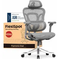 FlexiSpot ErgoX Max: Ergonomische bureaustoel tot 300 kg, met 4D hoofdsteun en 5D armleuningen, geïntegreerde rug- en lendensteun, gamingstoel, grijs