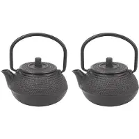 Torribaly 2x 50 ml Japanse gietijzeren theepot met theezeefje