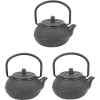Torribaly stuks 50 ml Japanse gietijzeren theepot met waterkoker, inclusief theezeefje