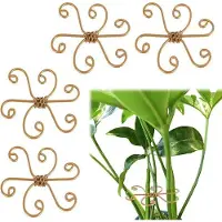 OEM Monstera plantenstokken - 5 stuks - Geschikt voor binnen en buiten - Klimrek - Kamerplanten voor klimplanten - Tuinpennen - Stijlvolle accessoires