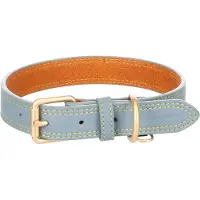 Flamingo - Hond Halsband Virginia Lichtblauw M / L 38-48cm 25mm