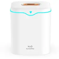 Typecat 2000ml Grote Capaciteit Dubbele Spray Poort Luchtbevochtiger USB Stille Aromatherapie Diffuser Koele Mist Maker voor Thuis Wit