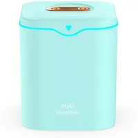 Typecat 2000ml Grote Capaciteit Dubbele Spray Poort Luchtbevochtiger USB Stille Aromatherapie Diffuser Koele Mist Maker voor Thuis Blauw