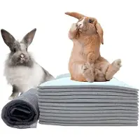 Kepptory 100 Stuks Konijnenplasmatjes, Wegwerpbare Kooivoeringen, Zwart, Koolstof, Superabsorberend, Geurcontrole, Zindelijkheidstrainingmatje voor Konijnen