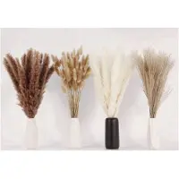 Typecat 400 STUKS Gedroogd Pampas Gras Decor Pampas Gras Bunny Staarten Gedroogde Bloemen Riet Gras Boeket voor Wedding Party Boho Decor