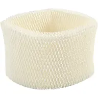 Torribaly Filters voor Boneco E2441A HEPA-Filterkern Vervanging voor Boneco Air-O-Swiss Aos 7018 E2441 Luchtbevochtiger Onderdelen