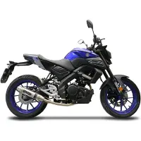 Gpr Exclusive Deeptone Inox Yamaha Mt 125 2020 Niet Gehomologeerd Volledig Uitlaatsysteem