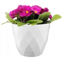 Galicja Lamela Bloempot 15cm hoog, kunststof, Witness - 17,5x17,5cm