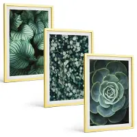 Tulup 4-Delige Schilderij Set - Groene bladplanten en stijlvolle vetplanten - 40 x 60 cm - Wanddecoratie - Woonkamer Decoratie - Decoratieve Schilderijen