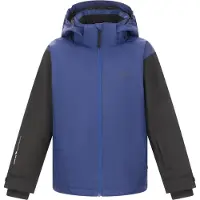 2117 of Sweden Borgvik, ski-jas, junior, blauw