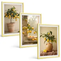 Tulup 4-Delige Schilderij Set - Citroenbomen in potten en op de vensterbank - 40 x 60 cm - Muurdecoratie - Wanddecoratie - Hal - Decoratieve Schilderijen
