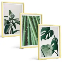 Tulup 4-Delige Schilderij Set - Bamboe stengels, kamerplanten en Monstera bladeren - 40 x 60 cm - Muurdecoratie - Wanddecoratie - Slaapkamer
