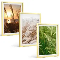 Tulup 4-Delige Schilderij Set - Verschillende soorten grassen, kleurrijke natuur - 40 x 60 cm - Wanddecoratie - Muurdecoratie - Woonkamer - Stijlvolle Muurdecoratie