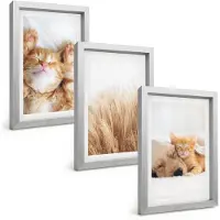Tulup 4-Delige Schilderij Set - Schattige dieren: katten, honden, zacht gras, boho-stijl. - 20 x 30 cm - Muurdecoratie - Wanddecoratie - Slaapkamer