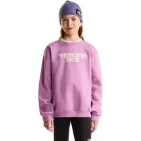 The North Face Chalbi Graphic Sweatshirt
