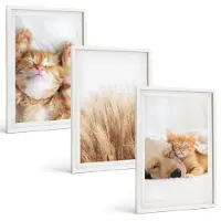 Tulup 3-Delige Schilderij Set - Schattige dieren: katten, honden, zacht gras, boho-stijl. - 40x60 - Wanddecoratie - Schilderijen Set - Kantoor - Stijlvolle Muurdecoratie