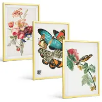 Tulup 4-Delige Schilderij Set - Bloemen, vlinders en vogels in pasteltinten - 40 x 60 cm - Decoratieve Schilderijen - Woonkamer - Interieur - Muurdecoratie