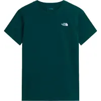 The North Face Shirt 'EVOLUTION SIMPLE DOME' petrol / wit