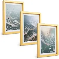 Tulup 4-Delige Schilderij Set - Waterdruppels op de tere scheuten van paardenbloemen - 20 x 30 cm - Stijlvolle Muurdecoratie - Slaapkamer - Moderne Wanddecoratie