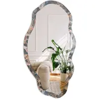 Coloray Plantensamenstelling Spiegel - Zwart Rechthoekige Spiegel Voor Interieur - Organische Spiegel - Woonkamer - Modern - 45x90 cm - Totale afmeting 52x97 cm