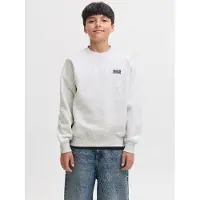 Jack & Jones Kids Junior Sweatshirt 'JJEColton' lichtgrijs