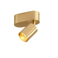 Trizo21 - Audette up Rounded Spot
