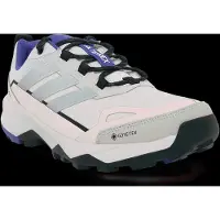 Adidas Wandelschoenen Terrex Skychaser AX5 Gore-Tex