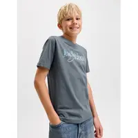 Jack & Jones Junior Shirt 'JJTOM' lichtblauw / grijs / wit