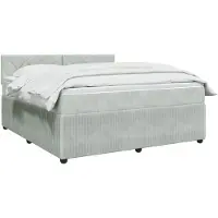 vidaXL Boxspringbed met matras, lichtgrijs, 160 x 200 cm, fluweel