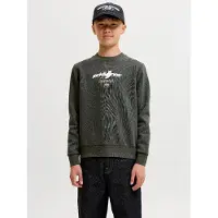 Jack & Jones Junior Sweatshirt 'Club Branding' donkergrijs