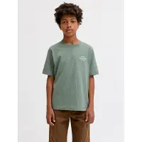 Jack & Jones Junior Shirt 'JORNORREBRO' mintgroen / wit