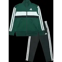 Adidas Trainingspak 'Seasonal Essentials Tiberio' donkergroen / zwart / wit