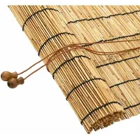 vidaXL Rol natuurlijke rietmat, 60 x 160 cm