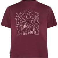 Icebreaker - Women's Merino 150 Tech Lite S/S Crop Tee - Merinoshirt M, rood