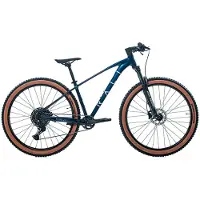 RALI R-pro 2.0 29´´ Cues Mountainbike