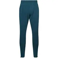 Castore Heren Wolverhampton Wanderers FC Trainingsbroek (Bay Green)
