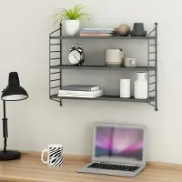 Famanu – Wandrek Strängnäs met 3 planken, 50 x 60 x 15 cm, donkergrijs