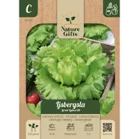 Baltus IJsbergsla Great Lakes 118 groentenzaad Nature Gifts