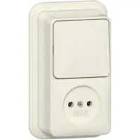 Gira Opbouw 2-Pole Schakelstopcontact Combinatie Crème Wit - 447610