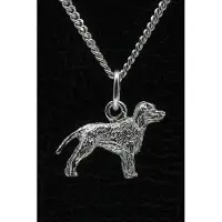 MOOYE ® - Collectie Zilveren Irish water spaniel ketting hanger - klein