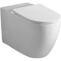 Sapho Infinity Rimless Toiletpot voor duobloktoilet, P-sifon/S-sifon, wit