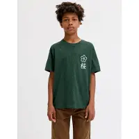 JACK&JONES JUNIOR Junior Shirt 'JJDYLAN' donkergroen / wit