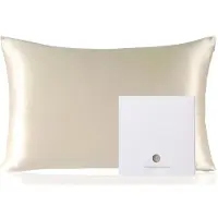 Famanu – Zijden Kussensloop 100% Moerbeizijde voor Haar & Huid - Dubbelzijdig 19 Momme 6A Kwaliteit - Zacht & Glad - 600 Dradendichtheid - Met Verborgen Rits - 1 Stuk -Beige - 40 x 60 cm