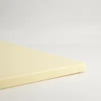 Tokyo Design Studio - Antibacteriële Snijplank - Professioneel - 120 x 45 x 2 cm - PK11A