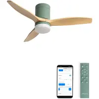Create - Stille 40W plafondventilator met technische ABS bladen in verschillende maten - S - Met licht - WIFI - WIND CALM