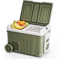 Auronic Elektrische Koelbox - Compressor - 2 Zones - 33L - 12/24V en 240V - Koelen en Vriezen - Camping Koelkast - Frigobox Auto - Met Wielen en Hendel - Groen