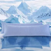 Famanu – Set van 2 koel kussenhoezen, dubbelzijdige koelstof voor zomer en nachtzweten, 40 x 145 cm, blauw